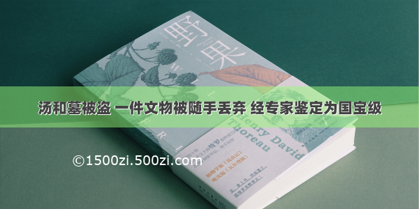 汤和墓被盗 一件文物被随手丢弃 经专家鉴定为国宝级