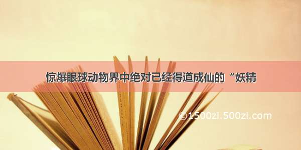 惊爆眼球动物界中绝对已经得道成仙的“妖精