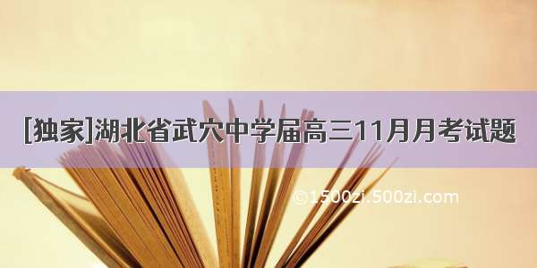 [独家]湖北省武穴中学届高三11月月考试题