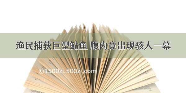 渔民捕获巨型鲇鱼 腹内竟出现骇人一幕