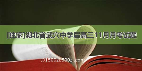 [独家]湖北省武穴中学届高三11月月考试题