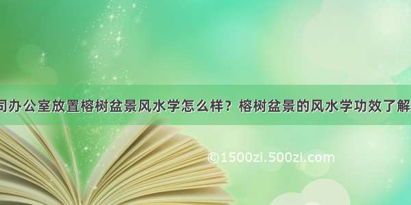 公司办公室放置榕树盆景风水学怎么样？榕树盆景的风水学功效了解否？