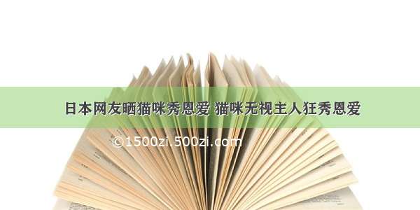 日本网友晒猫咪秀恩爱 猫咪无视主人狂秀恩爱