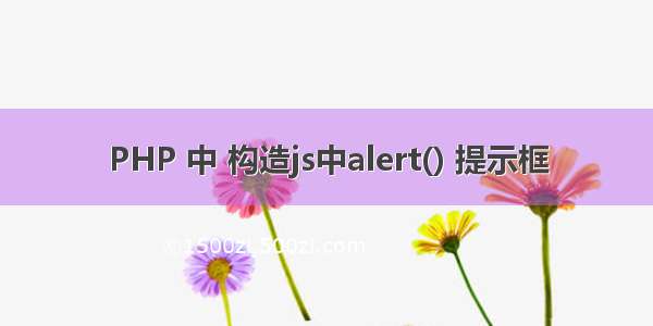 PHP 中 构造js中alert() 提示框