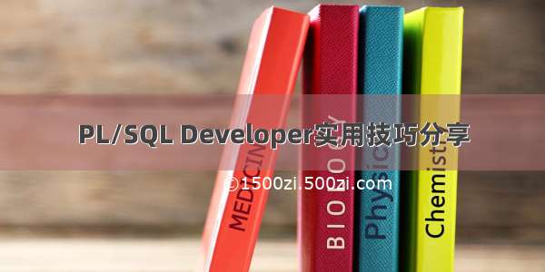 PL/SQL Developer实用技巧分享