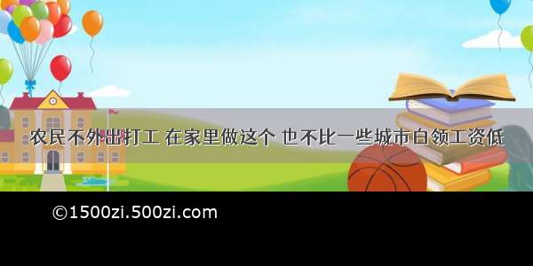 农民不外出打工 在家里做这个 也不比一些城市白领工资低