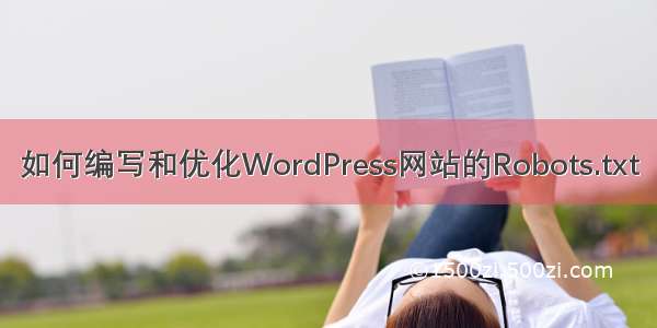 如何编写和优化WordPress网站的Robots.txt