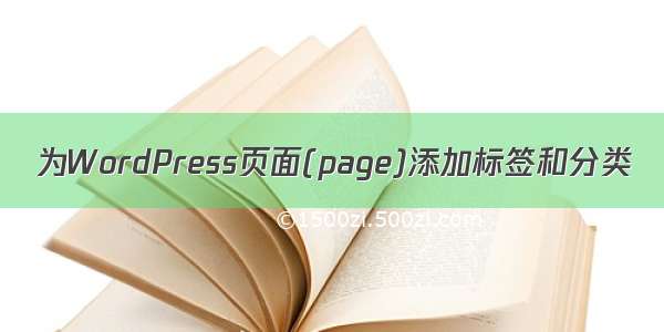 为WordPress页面(page)添加标签和分类