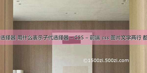 css3鼠标选择器 用什么表示子代选择器 – CSS – 前端 css 图片文字两行 都居中显示