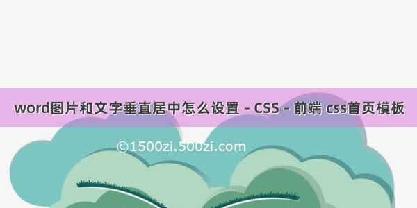 word图片和文字垂直居中怎么设置 – CSS – 前端 css首页模板