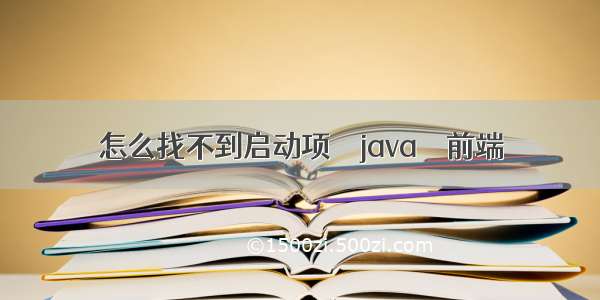 怎么找不到启动项 – java – 前端