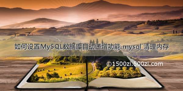 如何设置MySQL数据库自动递增功能 mysql 清理内存