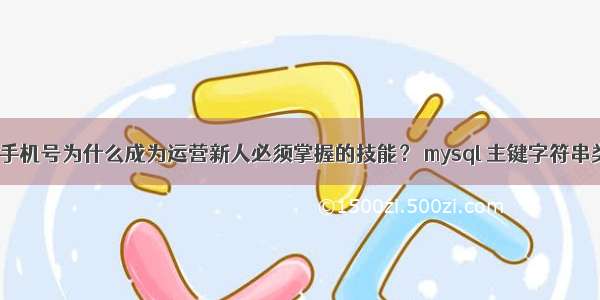 mysql手机号为什么成为运营新人必须掌握的技能？ mysql 主键字符串类型吗