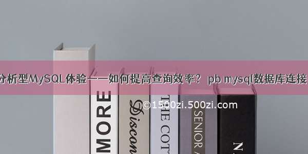 分析型MySQL体验——如何提高查询效率？ pb mysql数据库连接