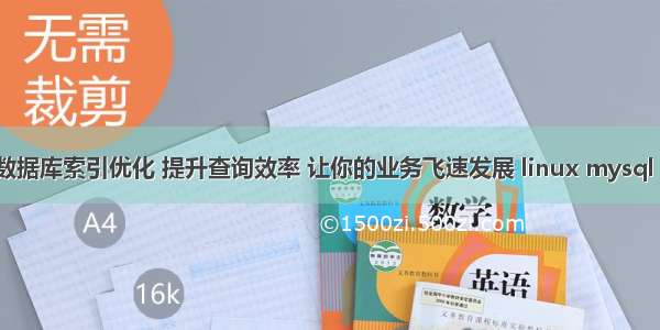 MySQL数据库索引优化 提升查询效率 让你的业务飞速发展 linux mysql 配置文件