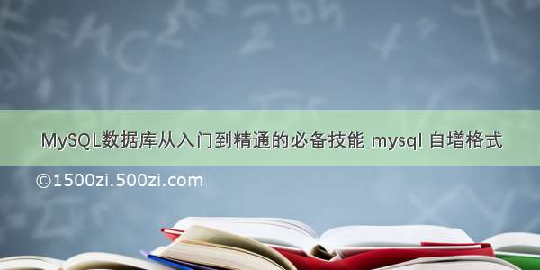 MySQL数据库从入门到精通的必备技能 mysql 自增格式