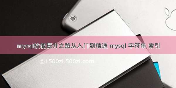 mysql技能提升之路从入门到精通 mysql 字符串 索引