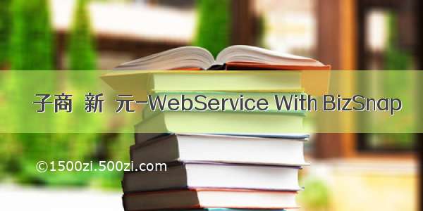 電子商務新紀元-WebService With BizSnap