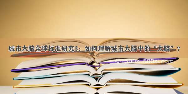 城市大脑全球标准研究3：如何理解城市大脑中的“大脑”？