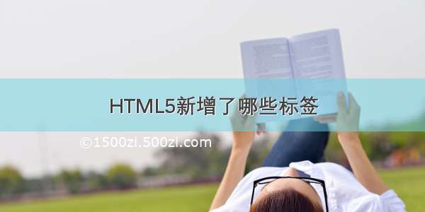HTML5新增了哪些标签