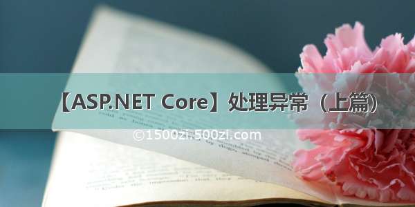 【ASP.NET Core】处理异常（上篇）