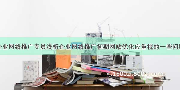 企业网络推广专员浅析企业网络推广初期网站优化应重视的一些问题