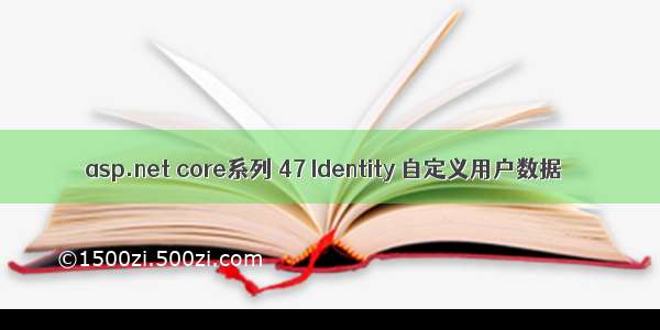 asp.net core系列 47 Identity 自定义用户数据