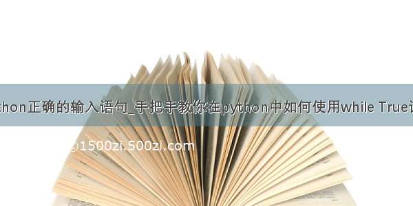 python正确的输入语句_手把手教你在python中如何使用while True语句