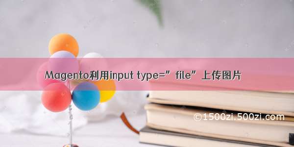 Magento利用input type=”file”上传图片