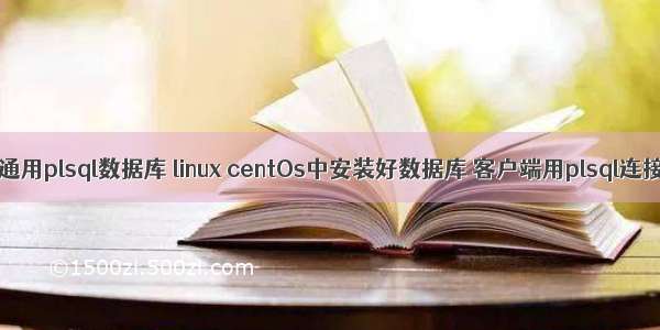 linux安装通用plsql数据库 linux centOs中安装好数据库 客户端用plsql连接oracle