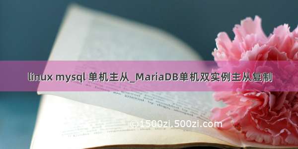 linux mysql 单机主从_MariaDB单机双实例主从复制