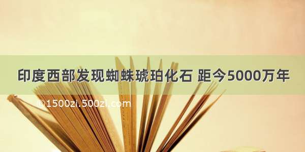 印度西部发现蜘蛛琥珀化石 距今5000万年