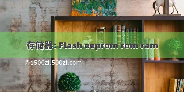 存储器: Flash eeprom rom ram