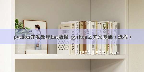 python并发处理list数据_python之并发基础（进程）