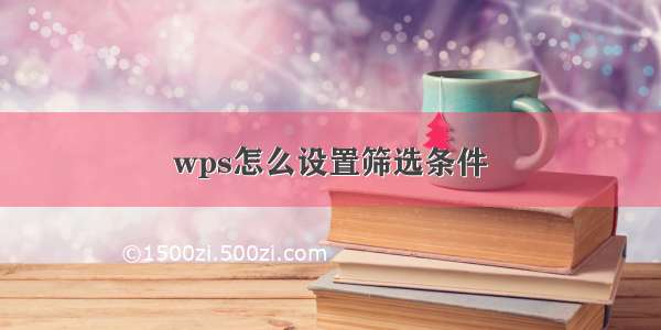 wps怎么设置筛选条件