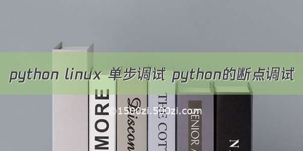 python linux 单步调试 python的断点调试