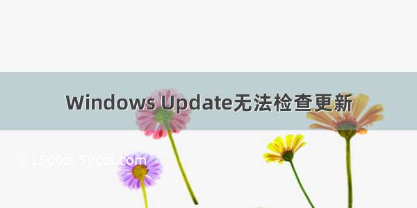 Windows Update无法检查更新