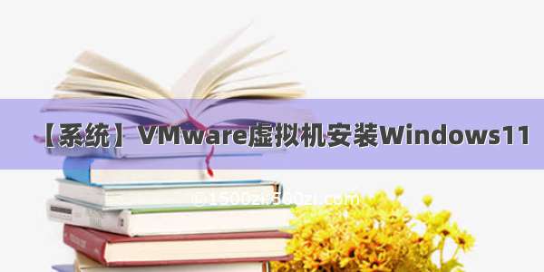 【系统】VMware虚拟机安装Windows11