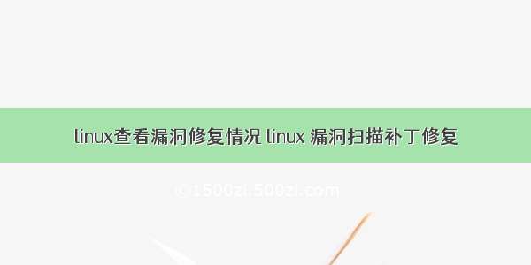linux查看漏洞修复情况 linux 漏洞扫描补丁修复