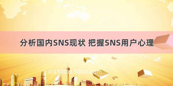 分析国内SNS现状 把握SNS用户心理