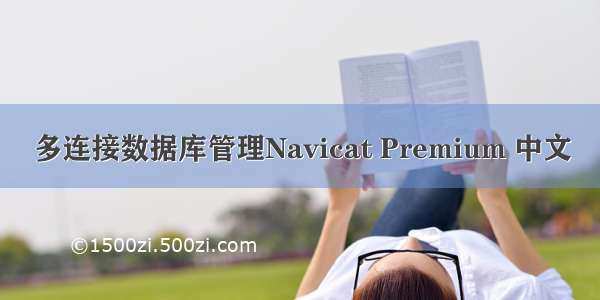 多连接数据库管理Navicat Premium 中文