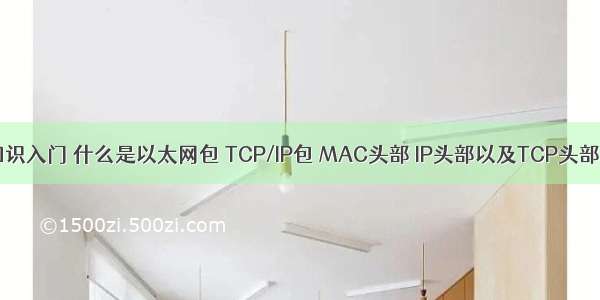 网络知识入门 什么是以太网包 TCP/IP包 MAC头部 IP头部以及TCP头部（六）