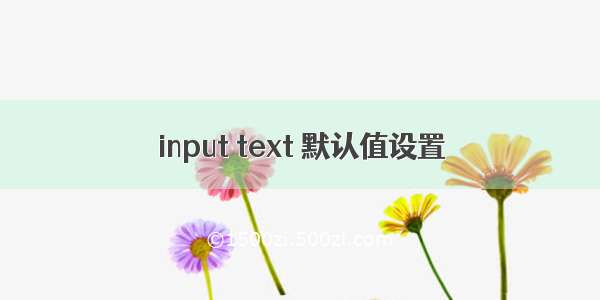 input text 默认值设置