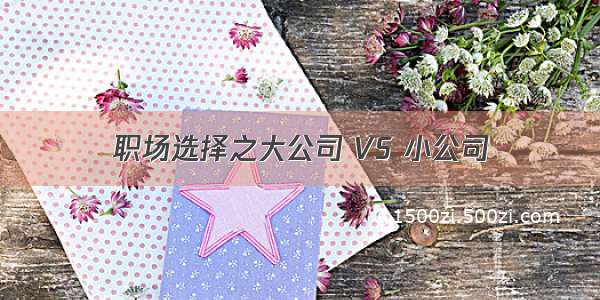 职场选择之大公司 VS 小公司