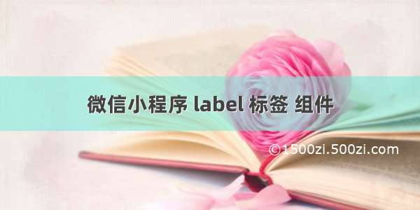 微信小程序 label 标签 组件