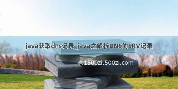 java获取dns记录_java之解析DNS的SRV记录