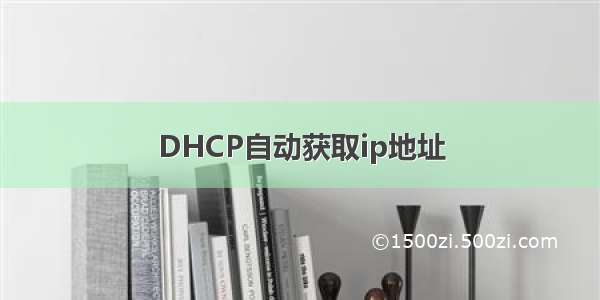 DHCP自动获取ip地址