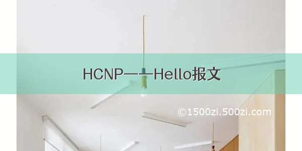 HCNP——Hello报文