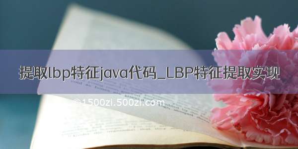 提取lbp特征java代码_LBP特征提取实现