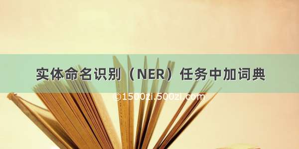 实体命名识别（NER）任务中加词典